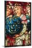 Angels of Creation: the Third Day, C.1890-Edward Burne-Jones-Mounted Giclee Print