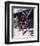 Angie Dickinson - Rio Bravo-null-Framed Photo