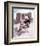 Angie Dickinson - Rio Bravo-null-Framed Photo