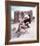 Angie Dickinson - Rio Bravo-null-Framed Photo