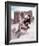 Angie Dickinson - Rio Bravo-null-Framed Photo