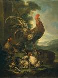 Farm Animals: a Cock, Two Chickens and Seven Chicks-Angiolo Maria Crivelli (Crivellone)-Mounted Art Print