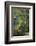 Angkor Golf Resort, Siem Reap, Cambodia-David Wall-Framed Photographic Print