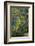 Angkor Golf Resort, Siem Reap, Cambodia-David Wall-Framed Photographic Print