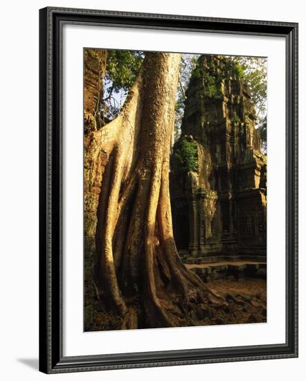 Angkor, Ta Prohm, 400-year-old Tree, Cambodia-Walter Bibikow-Framed Photographic Print