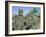 Angkor Thom, Angkor, Siem Reap, Cambodia, Indochina, Asia-Tim Hall-Framed Photographic Print