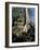 Angkor Wat Archaeological Park, Siem Reap, Cambodia, Indochina, Southeast Asia-Julio Etchart-Framed Photographic Print