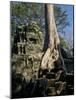 Angkor Wat Archaeological Park, Siem Reap, Cambodia, Indochina, Southeast Asia-Julio Etchart-Mounted Photographic Print