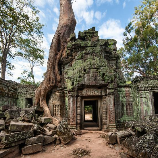 Angkor Wat Cambodia Ta Prohm Khmer Ancient Buddhist Temple In Jungle Forest Famous Landmark Plac Photographic Print Banana Republic Images Art Com Angkor Wat Cambodia Ta Prohm Khmer Ancient Buddhist Temple In Jungle Forest Famous Landmark Plac Photographic Print Banana Republic Images Art Com