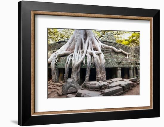 Angkor Wat Cambodia. Ta Prom Khmer Ancient Buddhist Temple in Jungle Forest. Famous Landmark, Place-SergWSQ-Framed Photographic Print