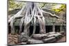 Angkor Wat Cambodia. Ta Prom Khmer Ancient Buddhist Temple in Jungle Forest. Famous Landmark, Place-SergWSQ-Mounted Photographic Print