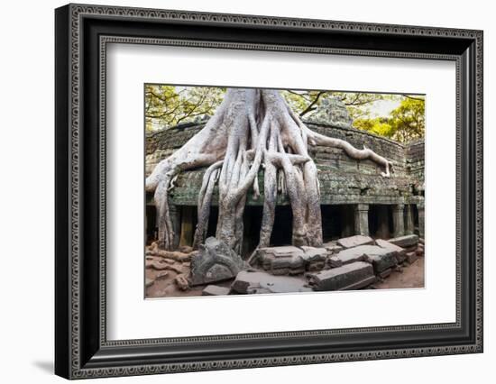 Angkor Wat Cambodia. Ta Prom Khmer Ancient Buddhist Temple in Jungle Forest. Famous Landmark, Place-SergWSQ-Framed Photographic Print