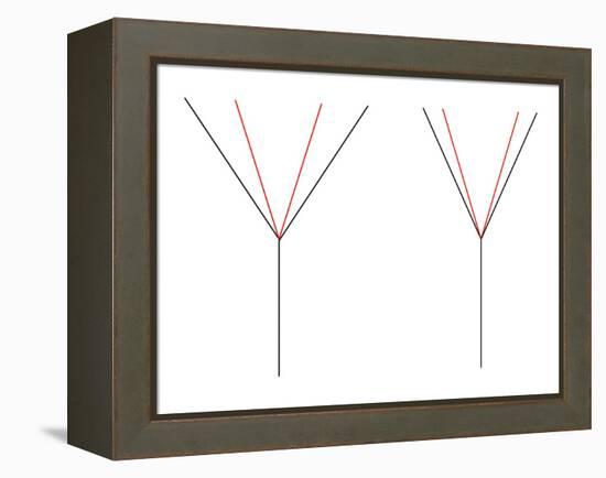 Angle Illusion-Science Photo Library-Framed Premier Image Canvas