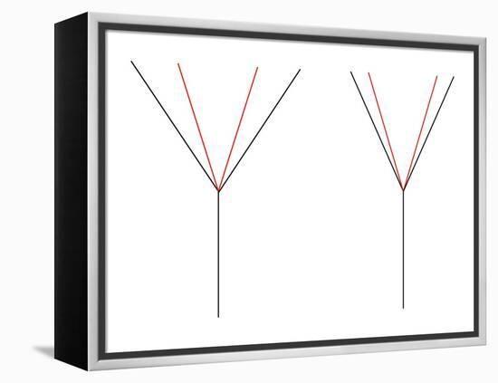 Angle Illusion-Science Photo Library-Framed Premier Image Canvas