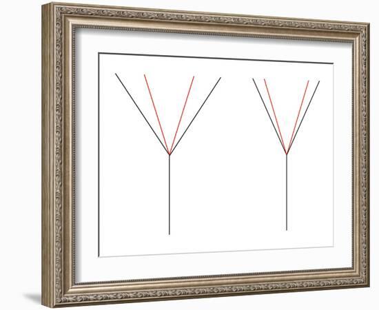 Angle Illusion-Science Photo Library-Framed Photographic Print