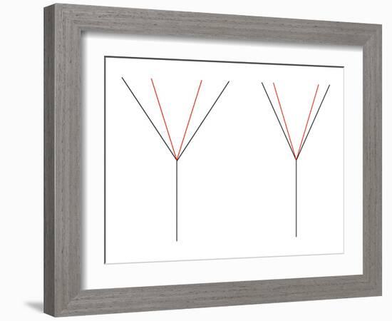 Angle Illusion-Science Photo Library-Framed Photographic Print