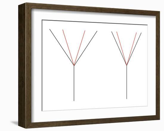 Angle Illusion-Science Photo Library-Framed Photographic Print