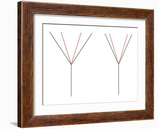 Angle Illusion-Science Photo Library-Framed Photographic Print