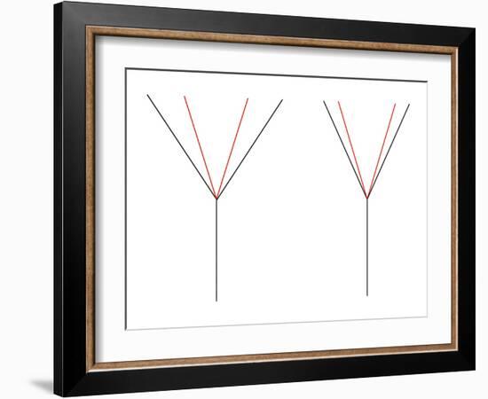 Angle Illusion-Science Photo Library-Framed Photographic Print