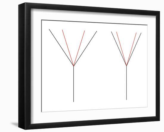 Angle Illusion-Science Photo Library-Framed Photographic Print