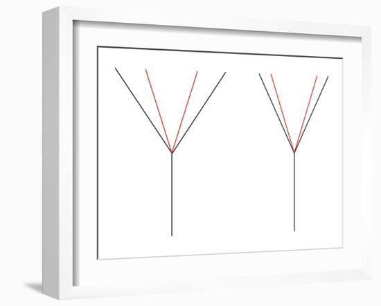 Angle Illusion-Science Photo Library-Framed Photographic Print