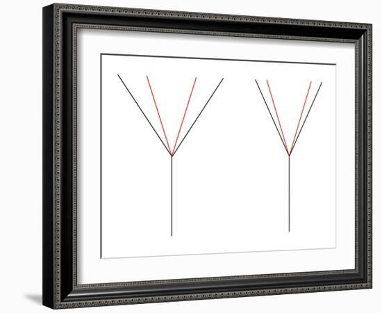 Angle Illusion-Science Photo Library-Framed Photographic Print