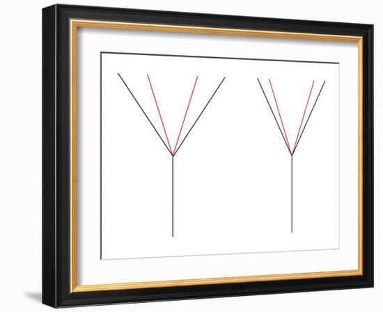 Angle Illusion-Science Photo Library-Framed Photographic Print