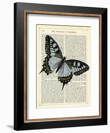 Angled Butterfly-Marion Mcconaghie-Framed Art Print