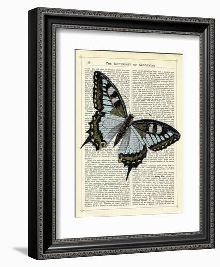 Angled Butterfly-Marion Mcconaghie-Framed Art Print