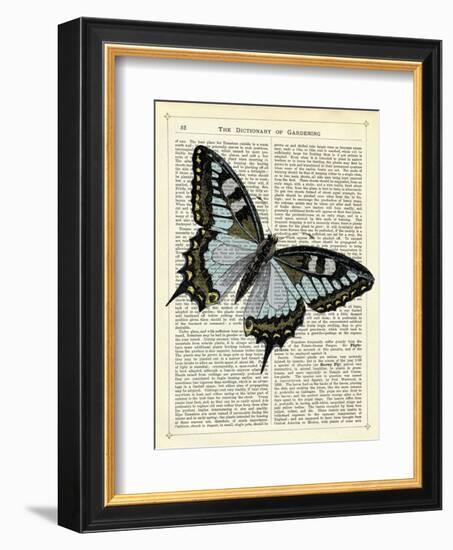 Angled Butterfly-Marion Mcconaghie-Framed Art Print