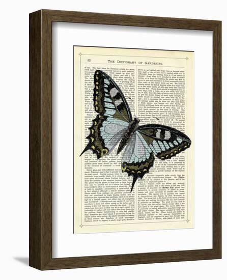 Angled Butterfly-Marion Mcconaghie-Framed Art Print