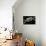 Angler's Swivel, SEM-Steve Gschmeissner-Photographic Print displayed on a wall