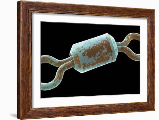 Angler's Swivel, SEM-Steve Gschmeissner-Framed Photographic Print