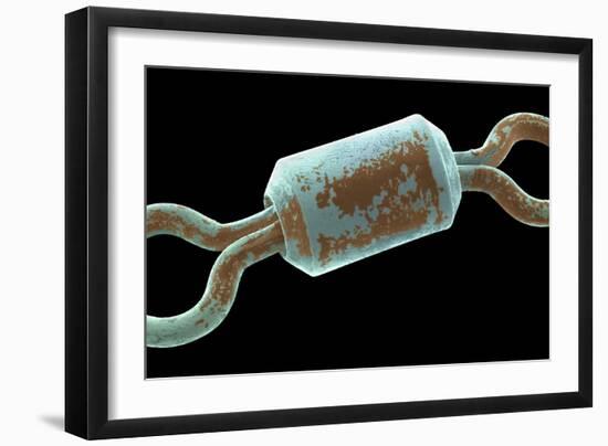 Angler's Swivel, SEM-Steve Gschmeissner-Framed Photographic Print