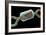 Angler's Swivel, SEM-Steve Gschmeissner-Framed Photographic Print