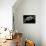 Angler's Swivel, SEM-Steve Gschmeissner-Mounted Photographic Print displayed on a wall