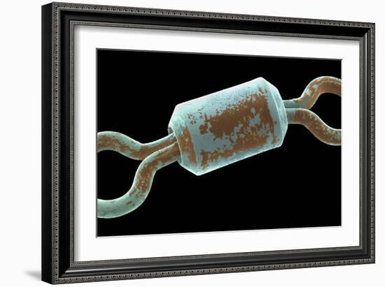 Angler's Swivel, SEM-Steve Gschmeissner-Framed Photographic Print