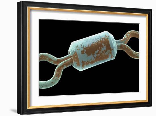 Angler's Swivel, SEM-Steve Gschmeissner-Framed Photographic Print