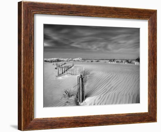 Anglesea Moire I-Geoffrey Ansel Agrons-Framed Photographic Print