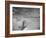 Anglesea Moire I-Geoffrey Ansel Agrons-Framed Photographic Print