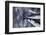 Angling, Mackerels, Stone, Fishhook, Hobby, Fish-Hawi-Framed Photographic Print