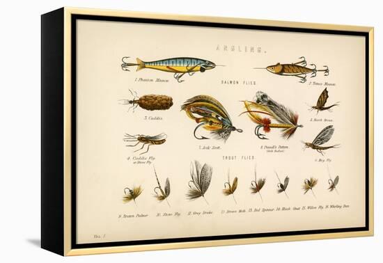 Angling-English School-Framed Premier Image Canvas