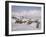 Angmagssalik (Ammassalik), Greenland, Polar Regions-Jack Jackson-Framed Photographic Print