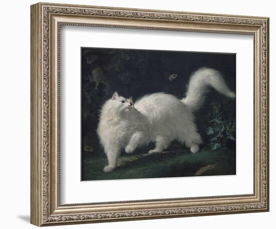 Angora Cat Chasing a Butterfly, C. 1760 (Oil on Canvas)-Jean Jacques Bachelier-Framed Giclee Print