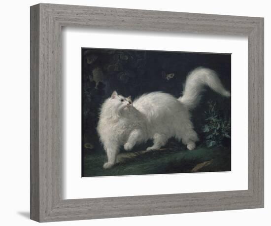Angora Cat Chasing a Butterfly, C. 1760 (Oil on Canvas)-Jean Jacques Bachelier-Framed Giclee Print