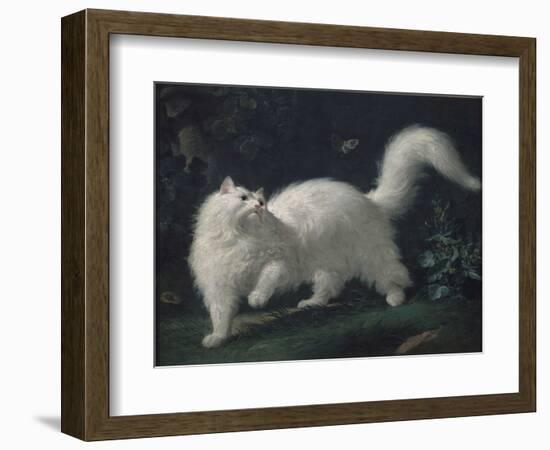 Angora Cat Chasing a Butterfly, C. 1760 (Oil on Canvas)-Jean Jacques Bachelier-Framed Giclee Print