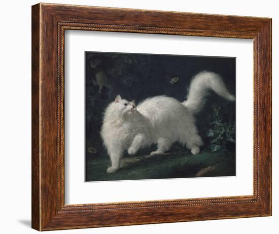 Angora Cat Chasing a Butterfly, C. 1760 (Oil on Canvas)-Jean Jacques Bachelier-Framed Giclee Print