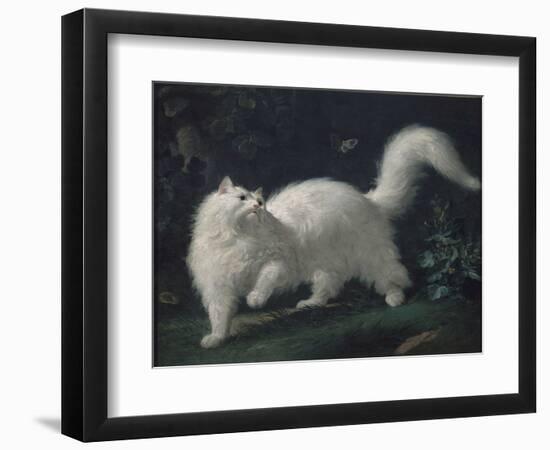 Angora Cat Chasing a Butterfly, C. 1760 (Oil on Canvas)-Jean Jacques Bachelier-Framed Giclee Print