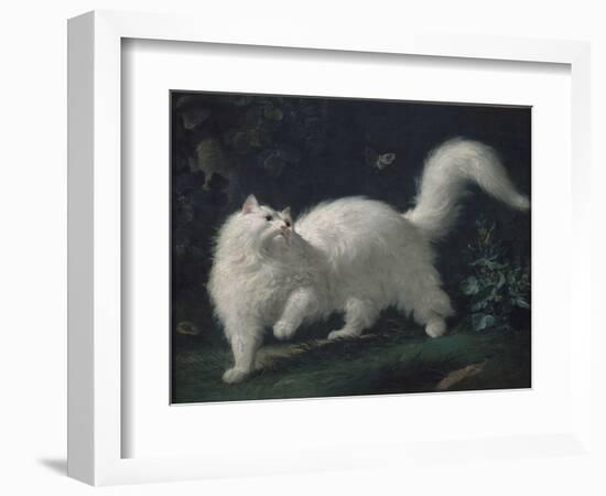 Angora Cat Chasing a Butterfly, C. 1760 (Oil on Canvas)-Jean Jacques Bachelier-Framed Giclee Print