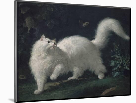 Angora Cat Chasing a Butterfly, C. 1760 (Oil on Canvas)-Jean Jacques Bachelier-Mounted Giclee Print